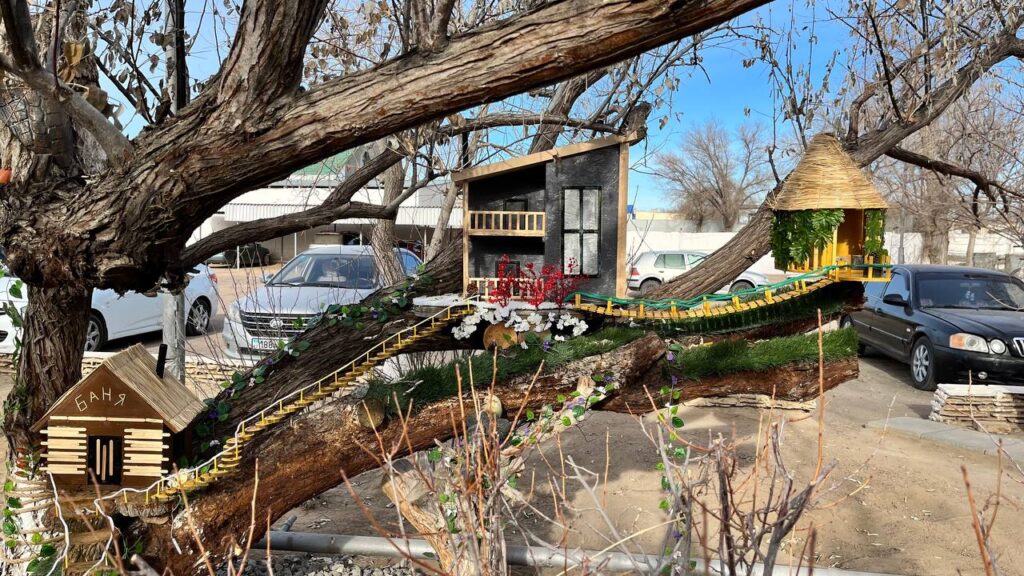 photo_2025-12-10_16-41-24